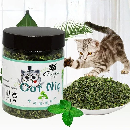 100% Organic Natural High Quality Catnip Cattle Grass Mint Taste